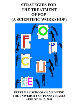 Strategies for the treatment of FOP (a scientific workshop)