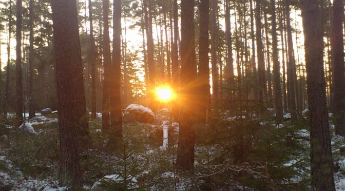 Det är bra med uppförsbacke i skogen då får man en egen soluppgång :)