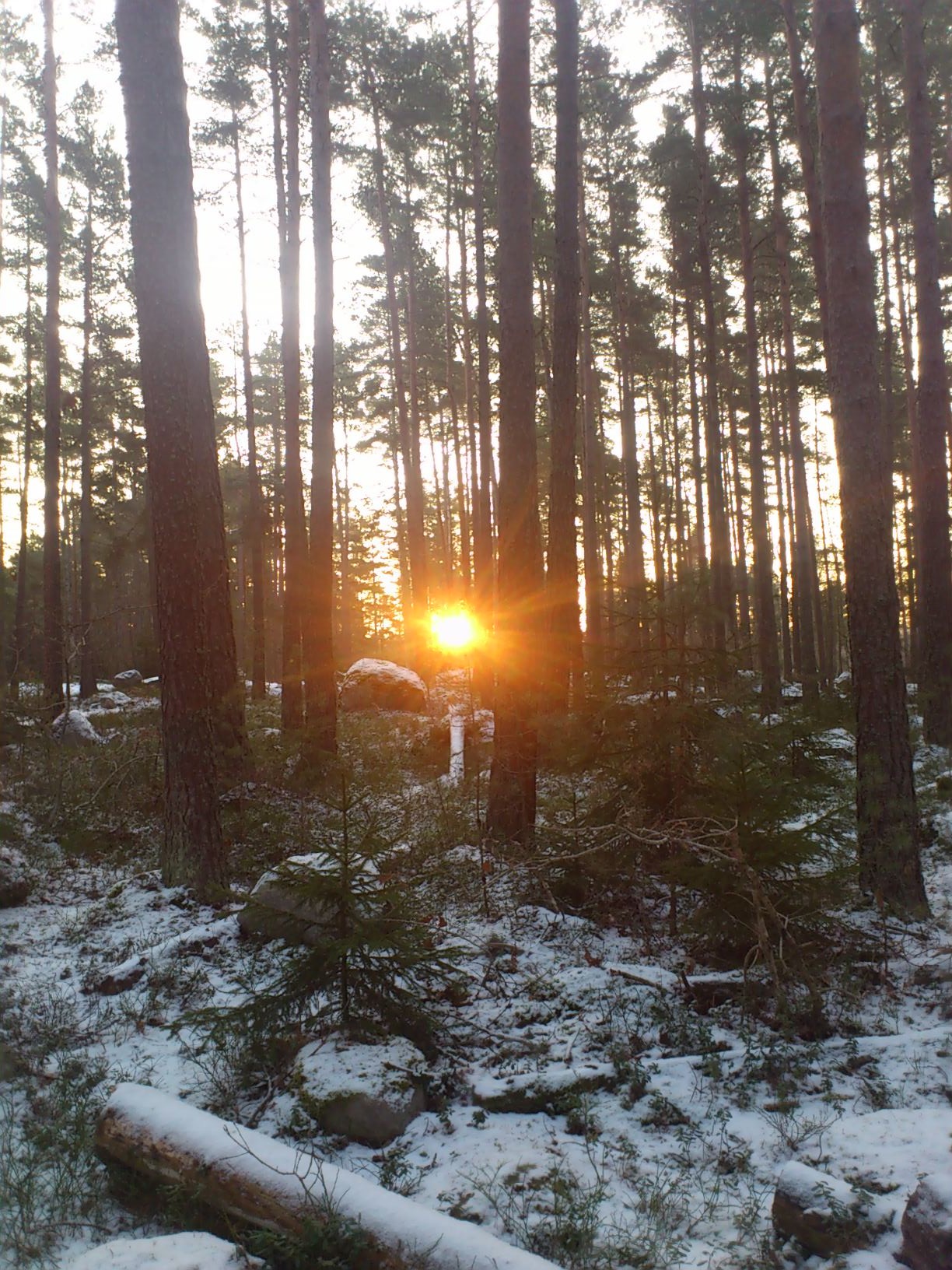 Det är bra med uppförsbacke i skogen då får man en egen soluppgång :)