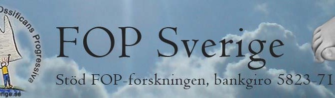 www.fopsverige.se