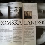 Artiken i Smile MAGAZINE.