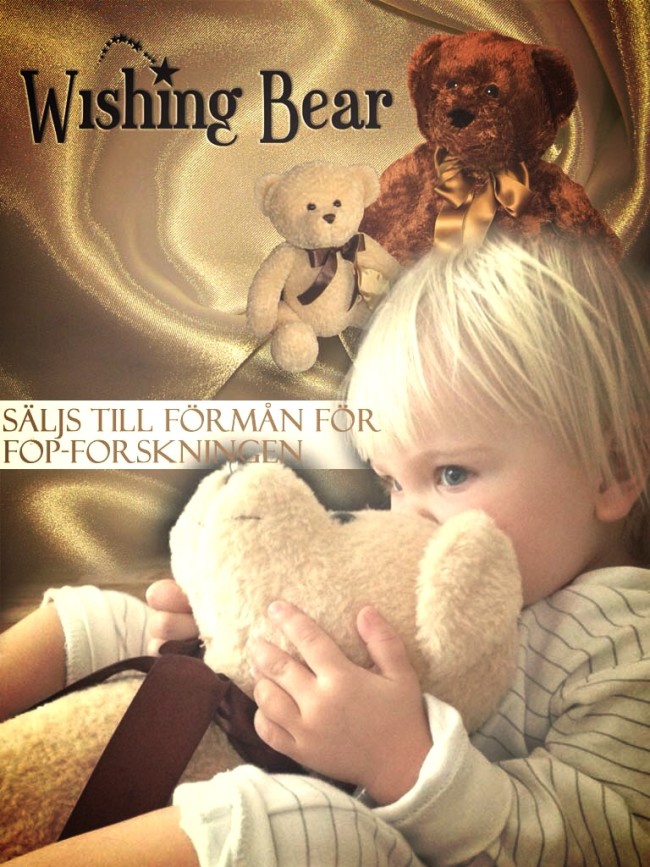 Wishing Bear