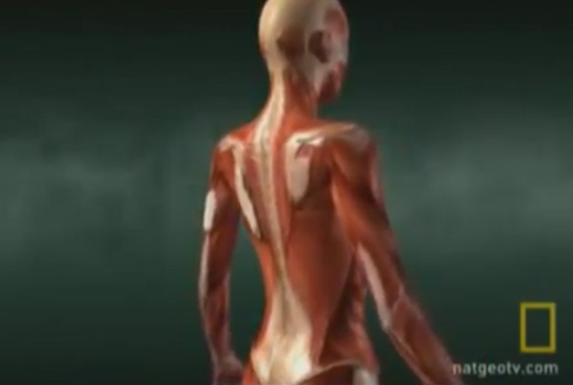 National Geographic video (4min) 2010