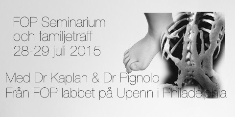 Seminarium 2015